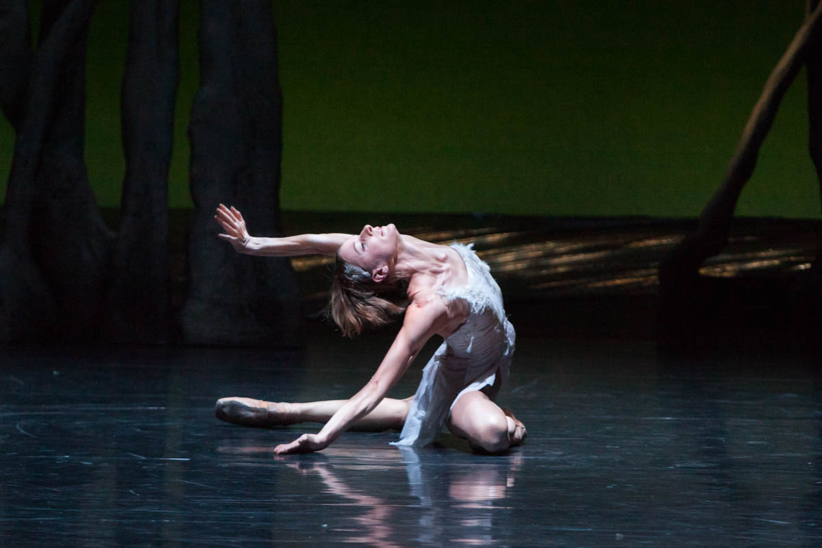 „Schwanensee“, Choreografie: Bridget Breiner, Musiktheater im Revier.