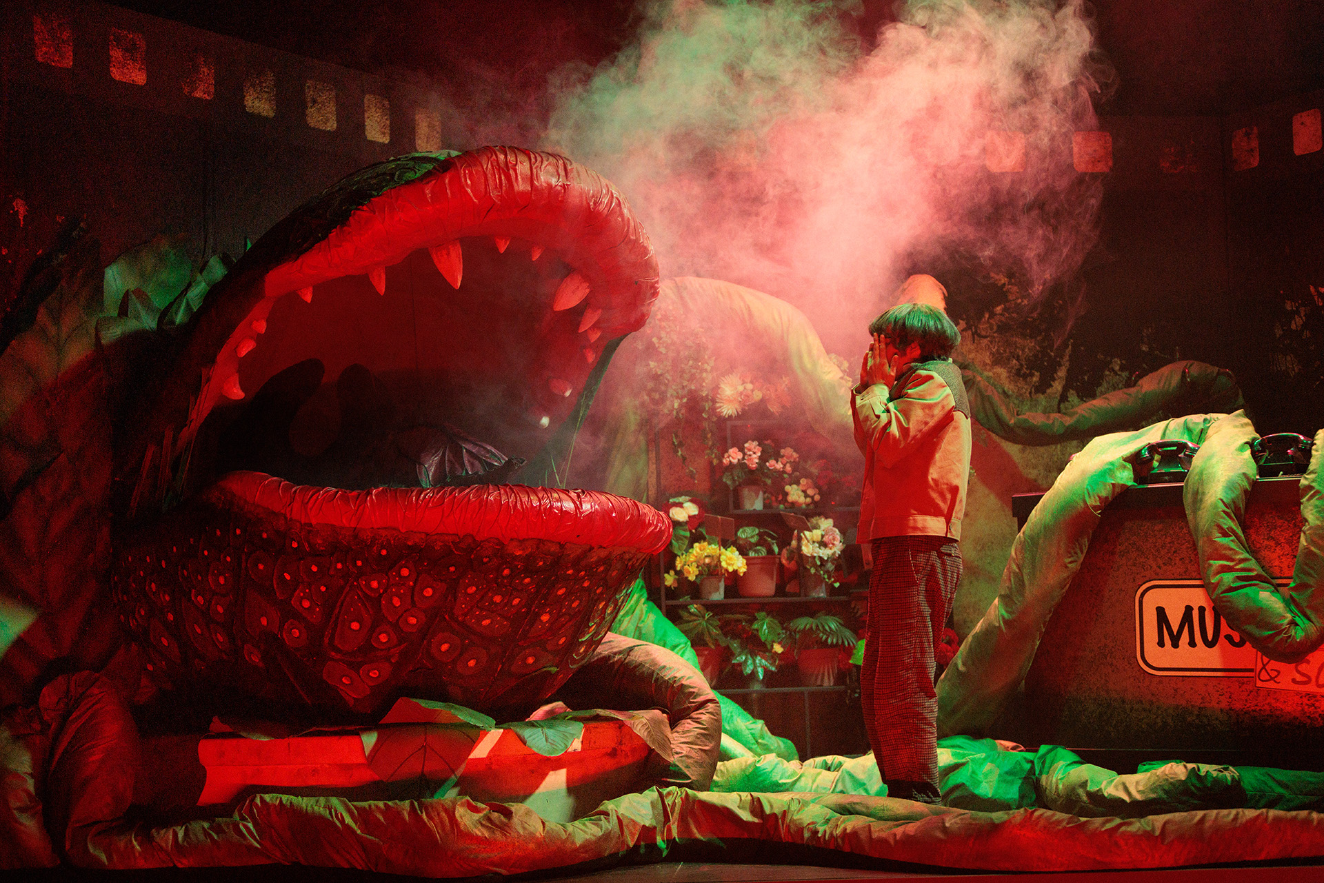 „Der Kleine Horrorladen“, Musiktheater im Revier, Regie: Carsten Kirchmeier